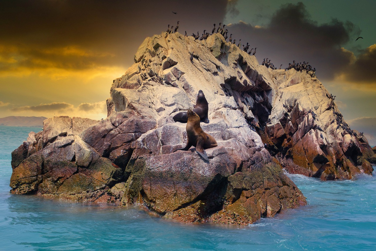 Foto di Taik Lee da Pixabay