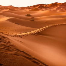 In dromedario nel deserto del Marocco