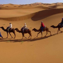 Vagabondando in Marocco