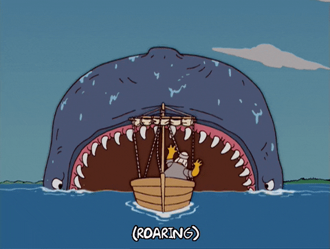 Balena mangia barca