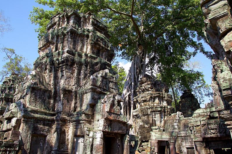 Siem Reap templi e natura