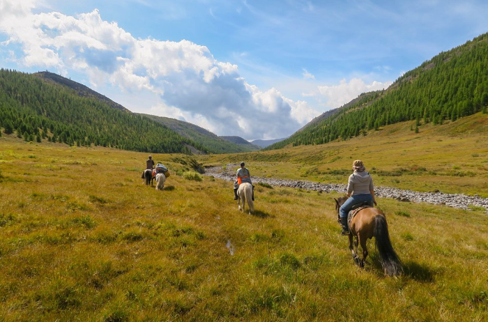 a cavallo in mongolia
