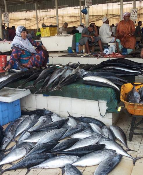 mercato del pesce muscat